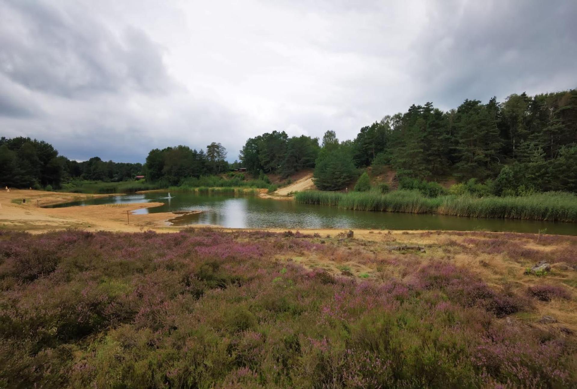 Tiny House Mit Garten In Der Lueneburger Heide *